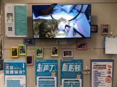 -谐和益家动物医院·免疫绝育·血液透析·宠保定点医院(高新伊藤分院)