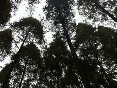 iphone_upload_pic-上海怡沁园度假酒店