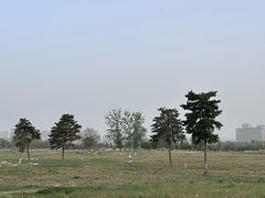 -汉长安城未央宫国家考古遗址公园