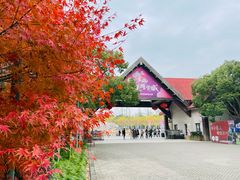 -上海海湾国家森林公园