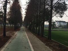 景观位-锦江中华村农家乐饭庄