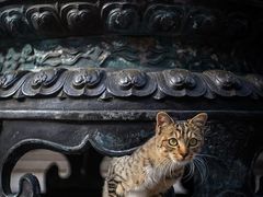 -龙华寺
