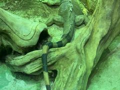 -华夏文旅西安度假区