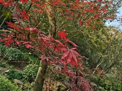 -杭州半山国家森林公园