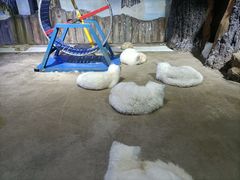 -芜湖新华联大白鲸海洋公园