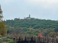 -苏州上方山国家森林公园