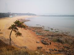 -青岛第二海水浴场