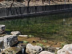 -白水寺森林公园