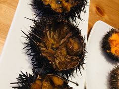 -海胆小馆(东北水饺·春柳店)