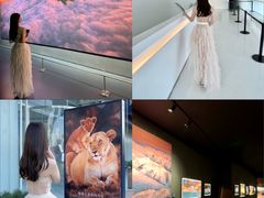 -罗红摄影艺术馆