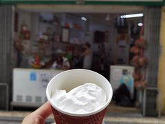 -洪馨椰子