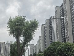 -猫爷的腔调·黔小馆(交大医学住宅区店)