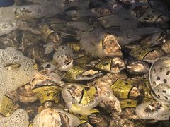 -海天一色海景自助餐厅(西港花园店)