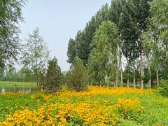 -东郊湿地公园