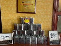 -OLD TREE老树咖啡·西餐厅(台山人工湖店)