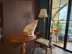 -灯塔咖啡馆BOOK·Coffee Shop