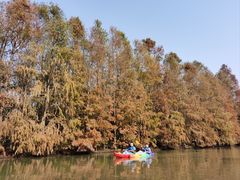 -上海海湾国家森林公园