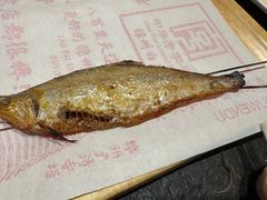 -老白清真烧烤(锦州旗舰店)