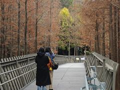 -福道