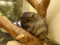 -龙猫仔乐园(惠福东路店)