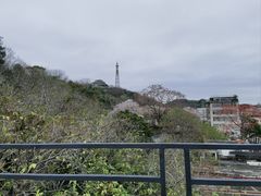 -佛山华盖山公园