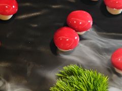 -科华明宇豪雅饭店·汇景全日制餐厅