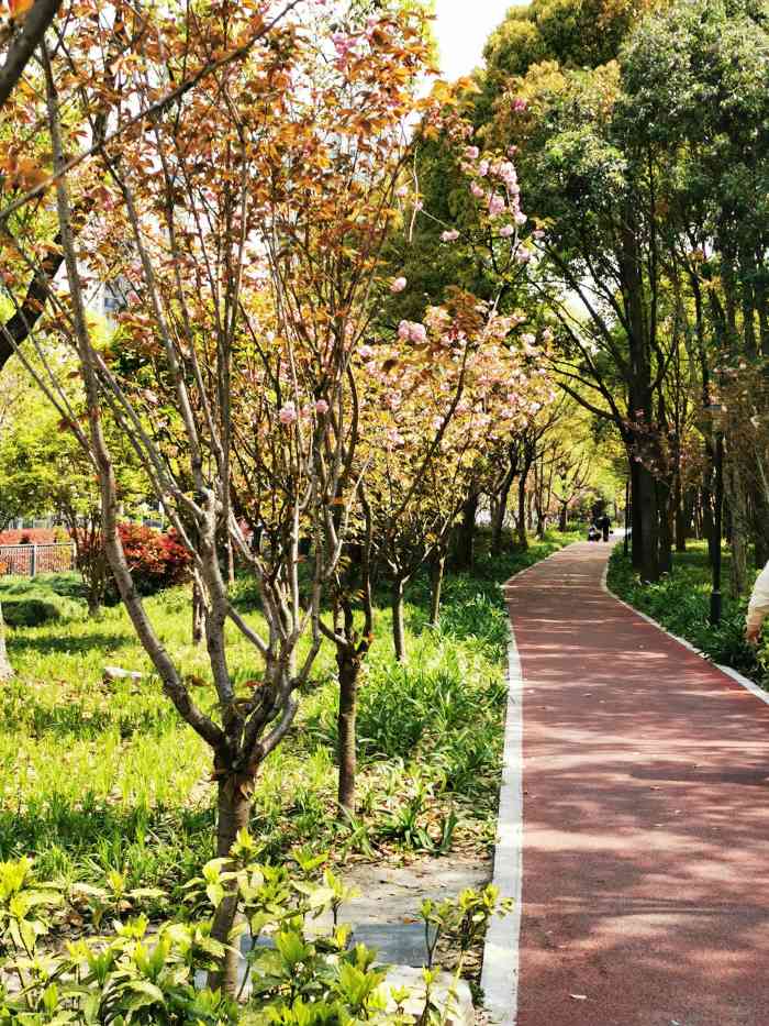 黄兴绿地-"98黄兴绿地9802很大02 03也很."-大众点评移动版