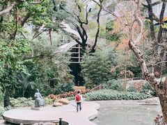 -香港大学