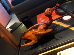 -羽鸽集·乳鸽专门店·地道顺德菜(岭南站店)