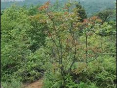 -七娘山