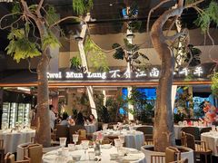 -桂满陇·海市蜃楼·黑金(国金店)