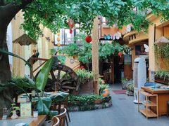 -大理董·董家小厨野生菌火锅(古城旗舰店)