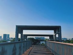 -立新湖公园