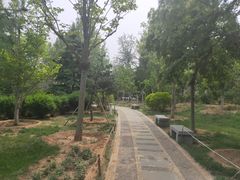 -燕郊植物园