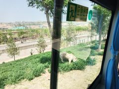 -太原动物园
