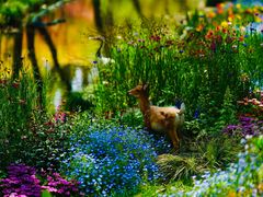 -上海共青森林公园