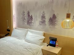 -桔子酒店(合肥南站店)