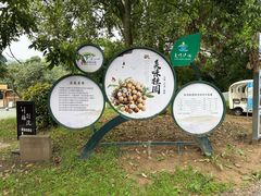 -张坝桂圆林公园