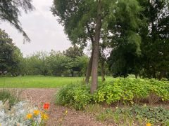 -上海滨江森林公园