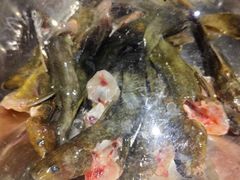 -石锅苗苗鱼(武汉首店)