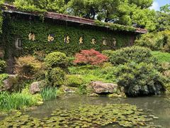 -中国茶叶博物馆(双峰馆区)