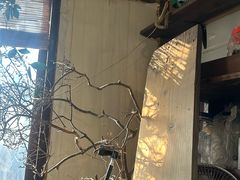 -斯多格书乡(北京大学畅春园店)