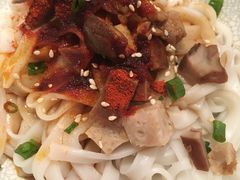 -MR鹅外