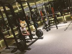 -银吉姆健身(恒隆馆)