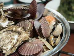 -天天鱼港·海鲜·鲅鱼水饺·招牌烤鸭(黄骅店)