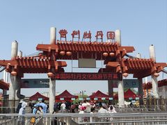 -曹州牡丹园