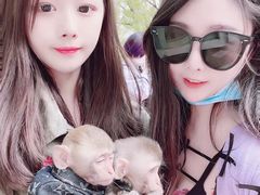 -辛玛王国游乐园