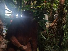 -苏州上方山国家森林公园