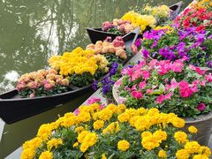 -东南花都花博园