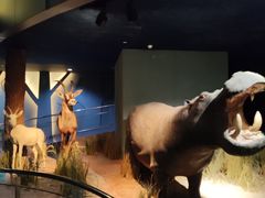 -天津自然博物馆
